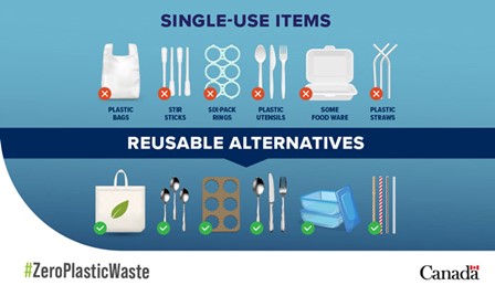 single use plastics under the ban